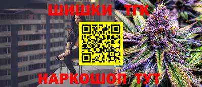 альфа пвп Заводоуковск